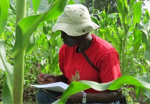 Research and Development