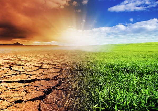 Climate Change Adaptation and Resilience
